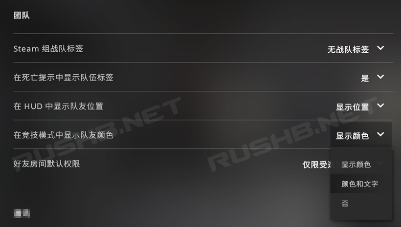 【教程】色盲玩家如何玩CSGO？  第4张