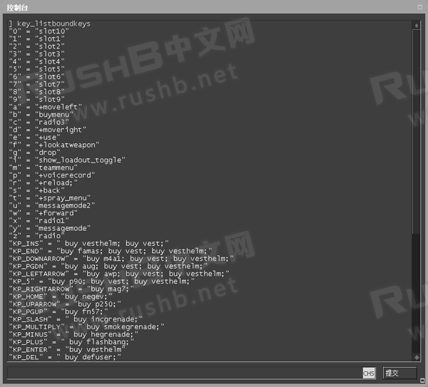 【key_listboundkeys】CSGO查看哪些按键绑定了哪些功能  第1张