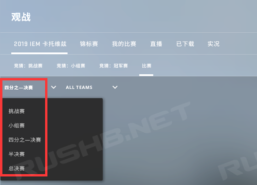 【纪念包如何获得？】CSGO Major观众通行证相关问答  第5张