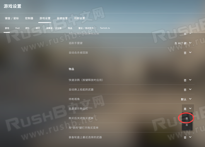 CSGO右下武器图标一直显示方法  第2张