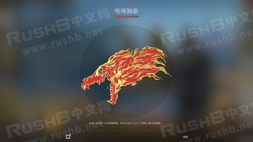 CSGO系列收藏胸章介绍  第2张