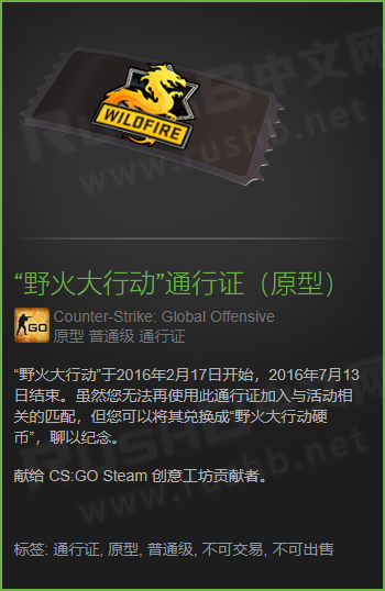 CSGO游戏中的原型物品  第2张