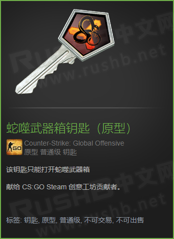 CSGO游戏中的原型物品  第3张