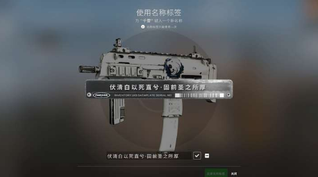 csgo改名卡怎么用-csgo改名卡攻略  第2张