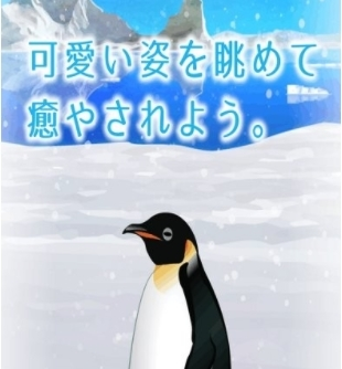 治愈的养成企鹅最新版 治愈的养成企鹅最新版下载，治愈的养成企鹅官方版下载 第1张