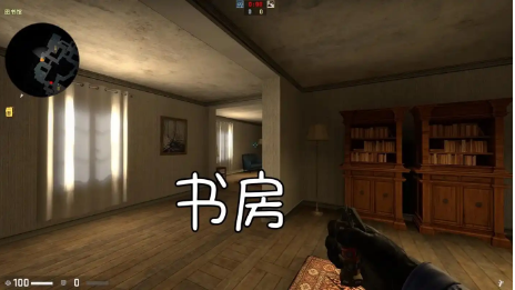 csgo mp7怎么玩-csgo mp7攻略  第2张